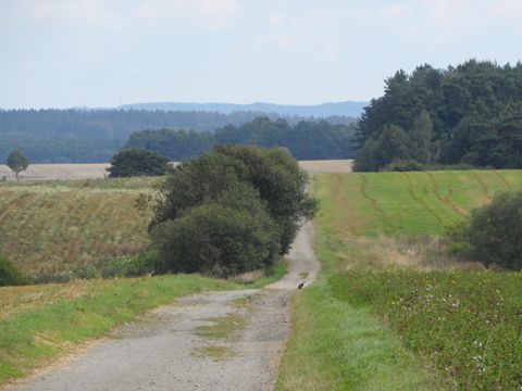 Foto 42